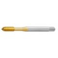 HSSE DIN376/B MAK.KLVZ. M12x1,75 (6H) OVM-K TİN